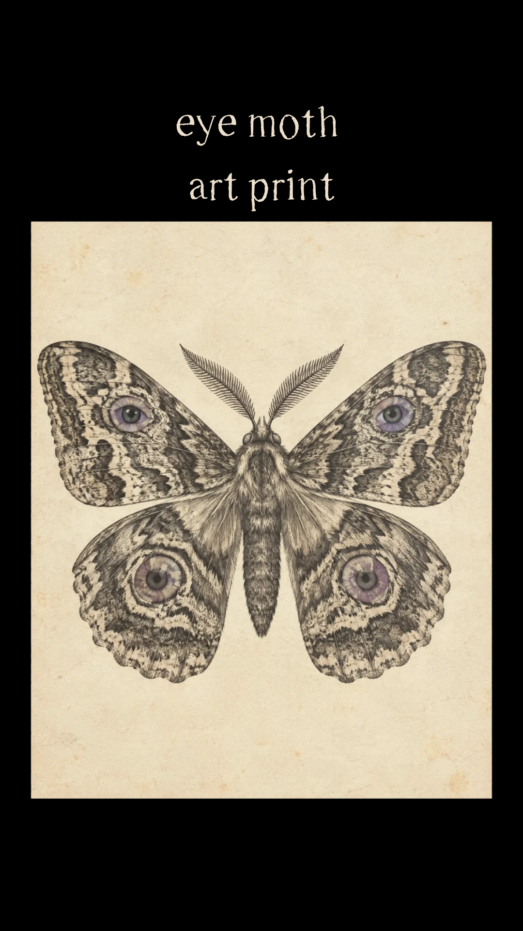 eye moth art print