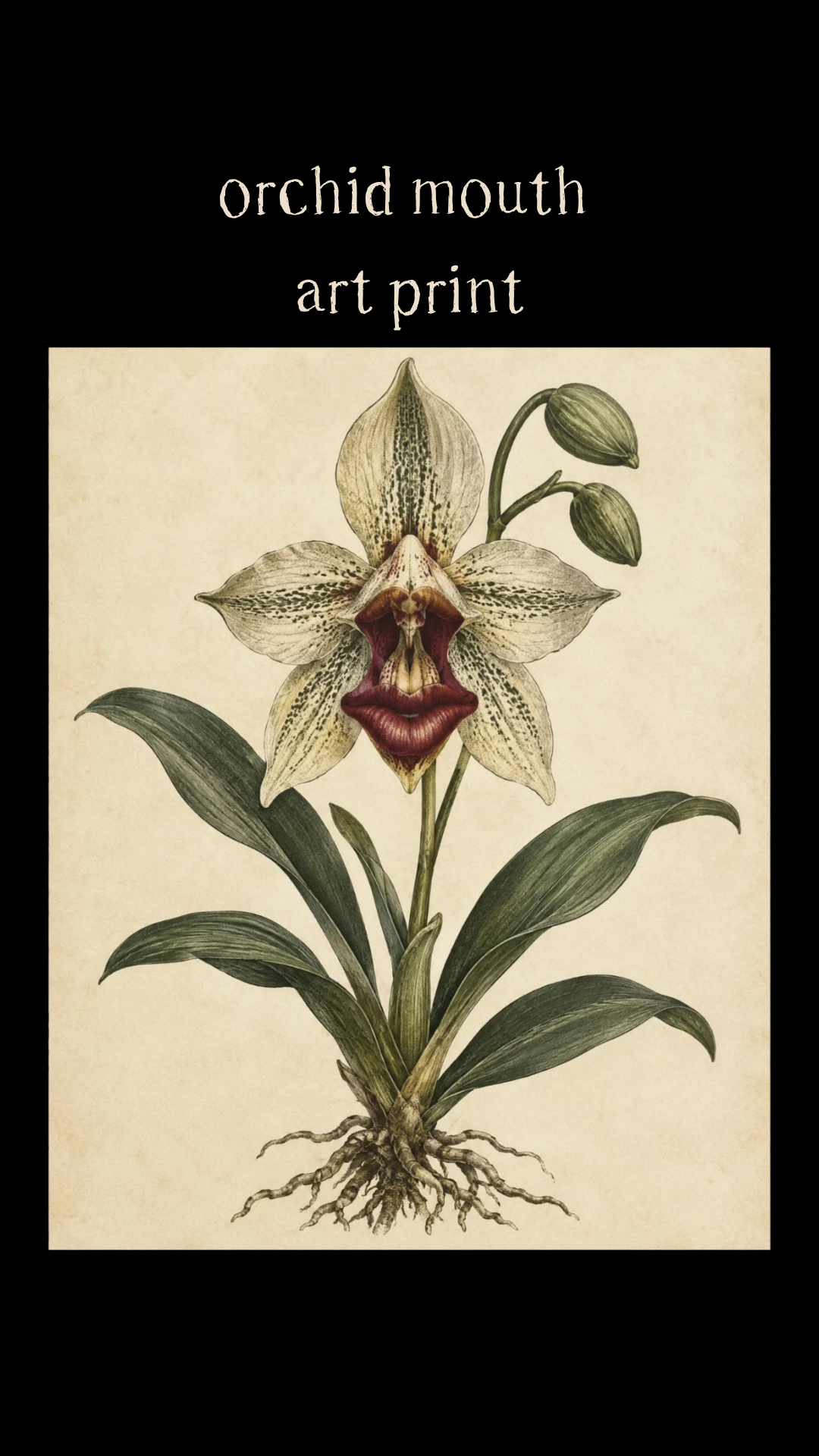 orchid mouth art print